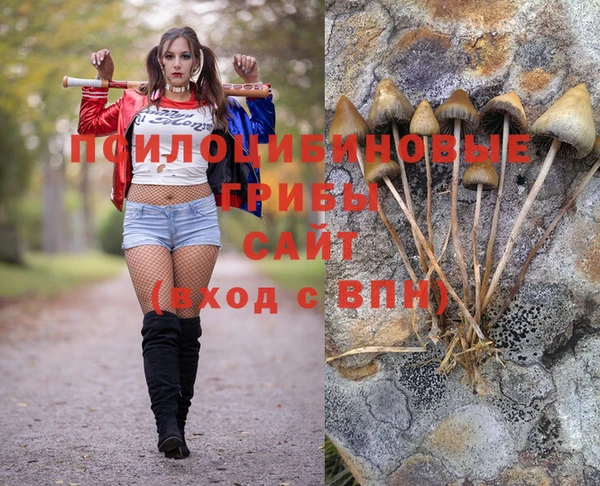 не бодяженный Армянск