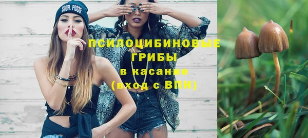 не бодяженный Армянск