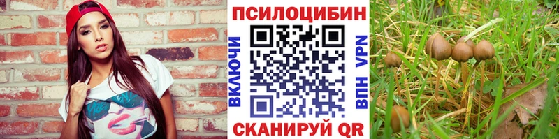 Псилоцибиновые грибы ЛСД наркошоп Северобайкальск